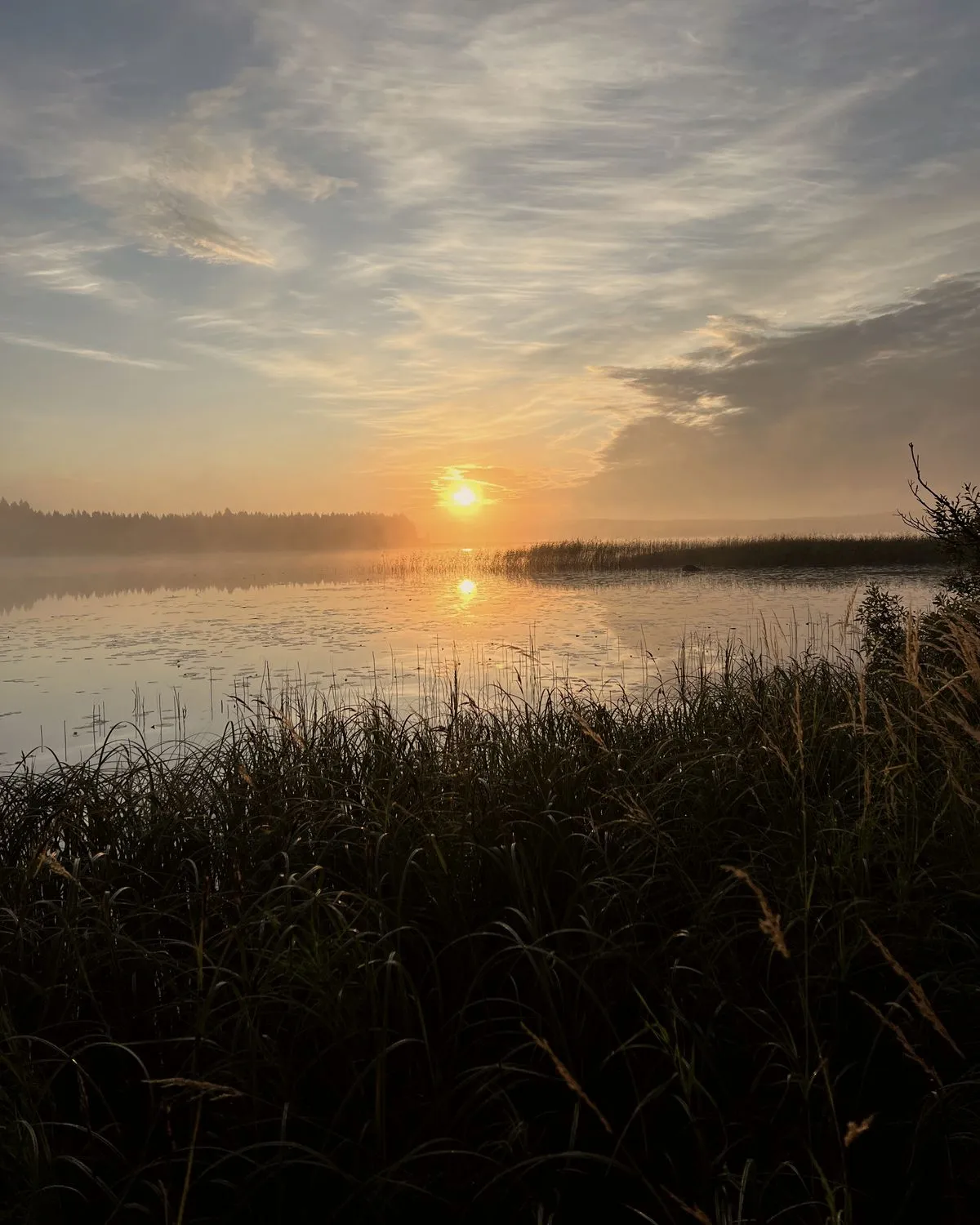 Aamuaurinko nousee sumuisen järven ylle